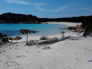 la spiaggia rosa budelli sardegna